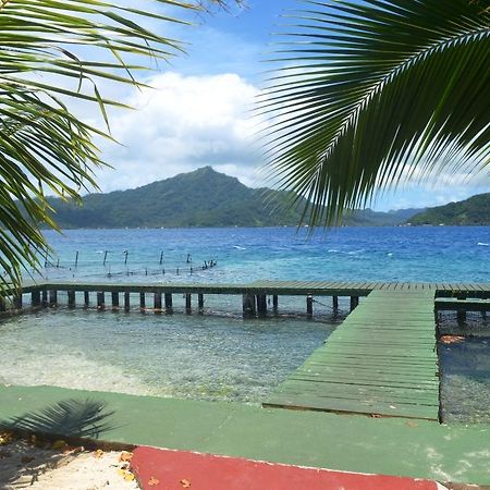 Pension Atger Vaitoare  ภายนอก รูปภาพ