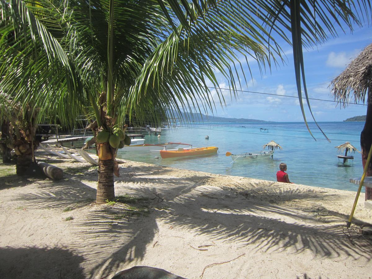 Pension Atger Vaitoare  ภายนอก รูปภาพ
